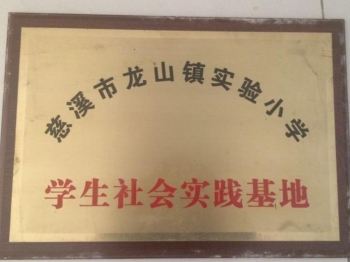 龍山鎮(zhèn)青少年社會實(shí)踐基地-1